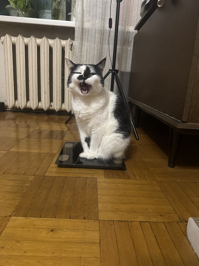 Сидит, орет :)