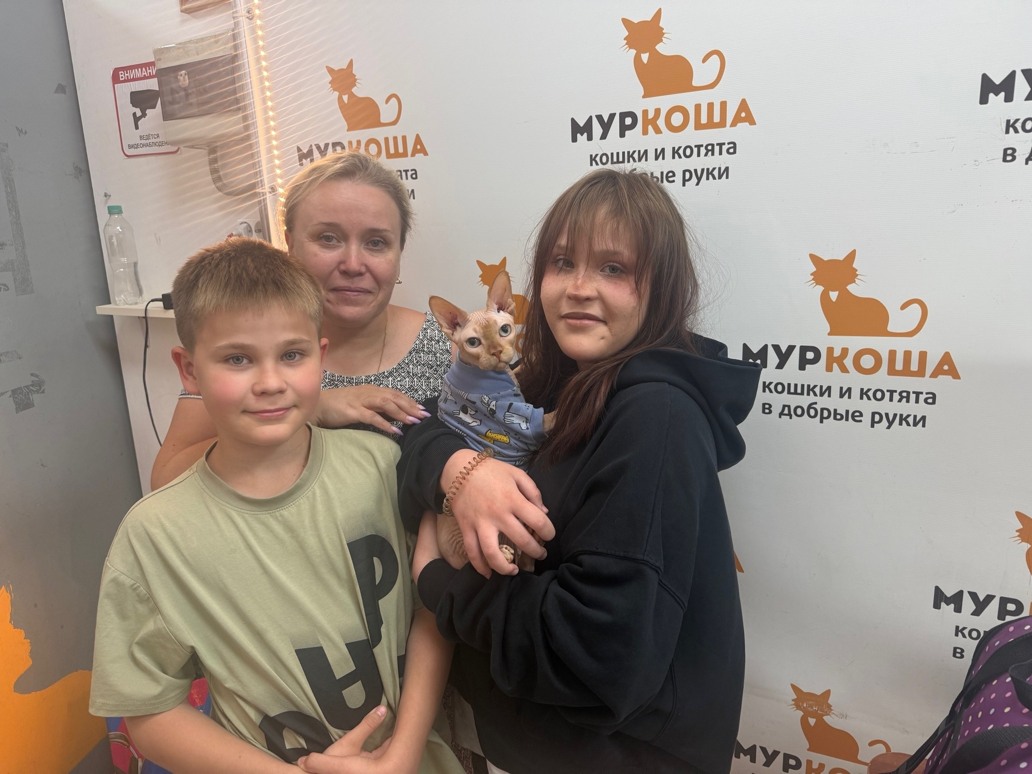 10 kittens have gone home in the last two weeks! - Series Found a home, My, In good hands, Good league, Helping animals, cat, Moscow, Murkosh shelter, Kittens, Paws, Cat lovers, Kindness, Pets, Short videos, Vertical video, Found a home, The photo, Events, Happiness, Miracle, I share my joy, Video, Longpost