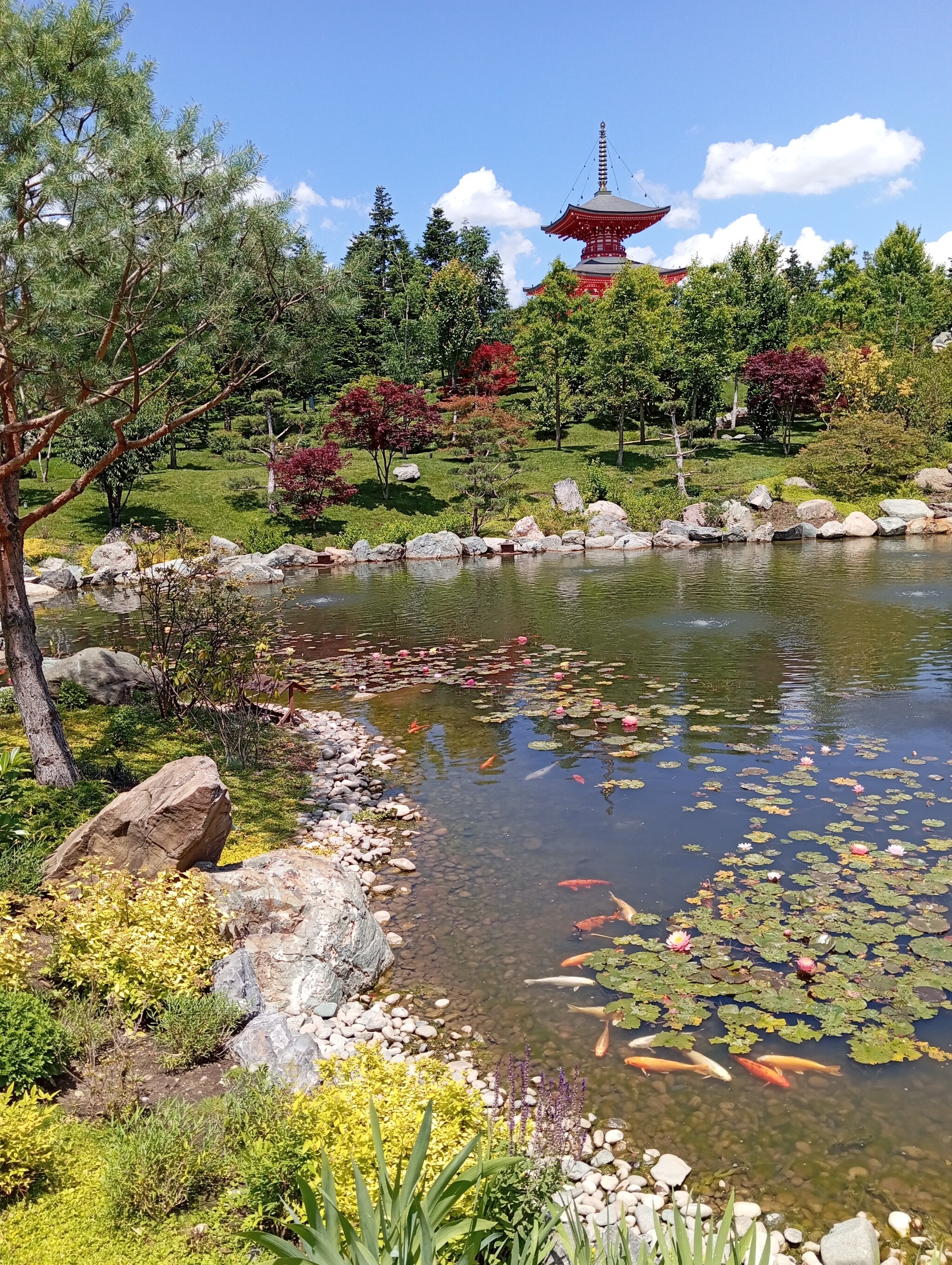 Reply to the post Show me the last photo you took just because you thought it was beautiful. - My, Krasnodar, Galitsky Park, Japanese Garden