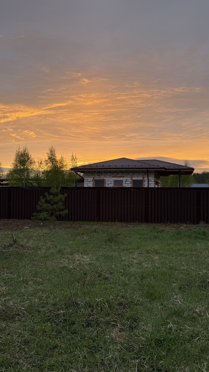 Ответ на пост «Покажите последнюю фотографию, которую вы сделали просто потому что вам было красиво»