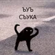Аватар пользователя TiTaTusya