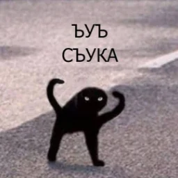TiTaTusya