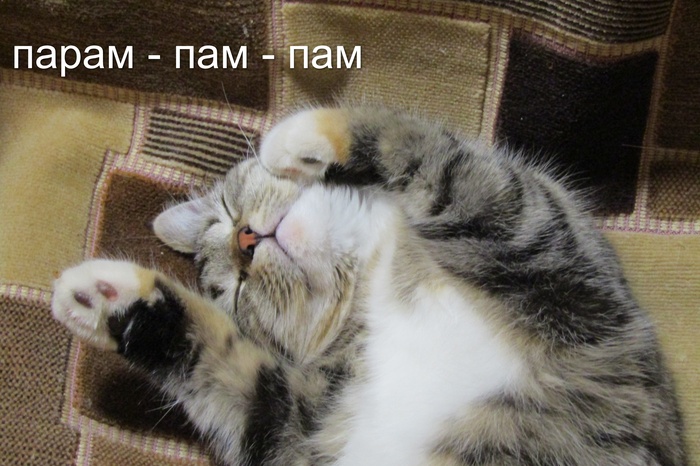 <a href="/@Murkindoma" target="_blank" rel="noopener" class="user-call" data-type="user" data-own="false" data-profile="true" data-name="Murkindoma">https://pikabu.ru/@Murkindoma</a>