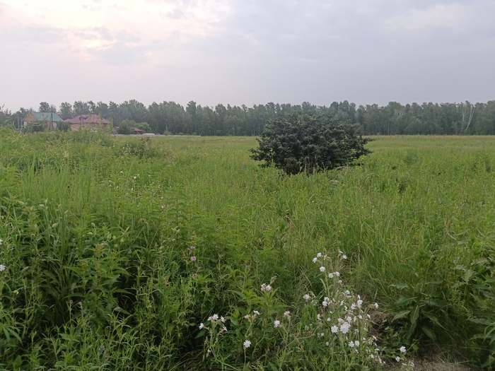 Странное на даче
