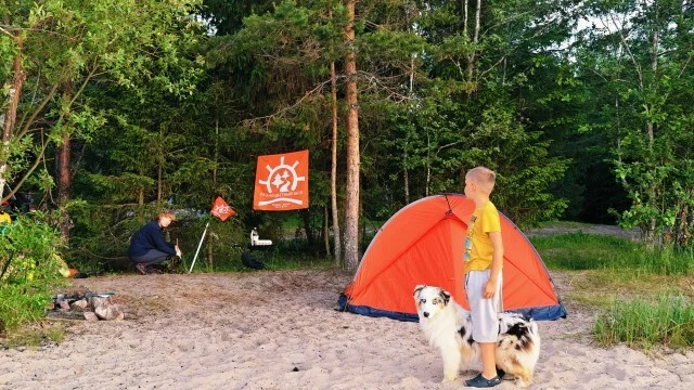 Journey through Karelia. Chapter 1: Ladoga Skerries. Part 1 - My, Alloy, Skerries, Ladoga, Ladoga skerries, Kayak, Australian shepherd, Карелия, Longpost