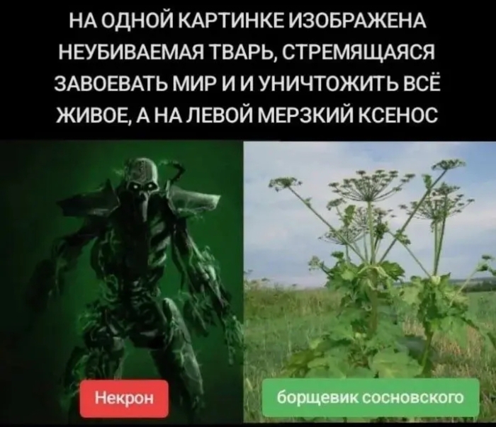 �� ���������