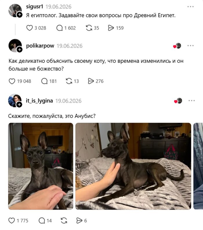 Я раньше кто был, так, вонючий гинеколог