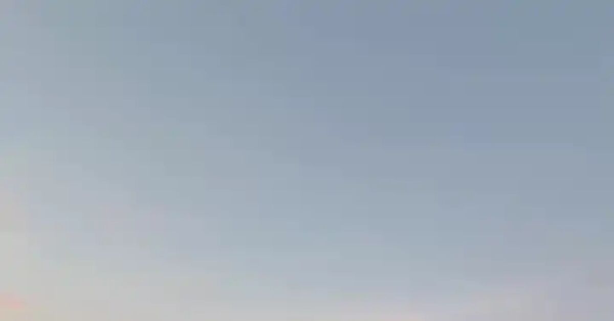 Lukashenko is welcomed in Alexandria! - Politics, news, Alexander Lukashenko, The president, Telegram (link), Video, Vertical video, Short videos