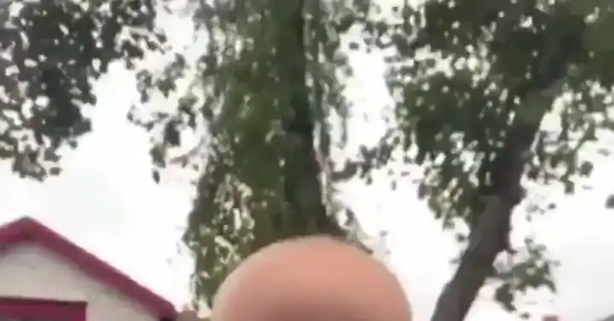 Hide and Seek - Vertical video, Short videos, Children, Hide and seek, Stupidity, Video