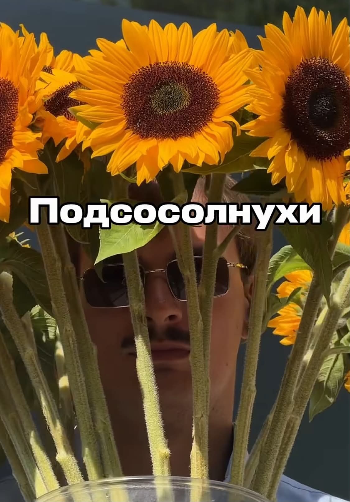 Please correct if there are any errors in the title. - Humor, Picture with text, Flowers, Telegram (link), MAX messenger (link), Longpost