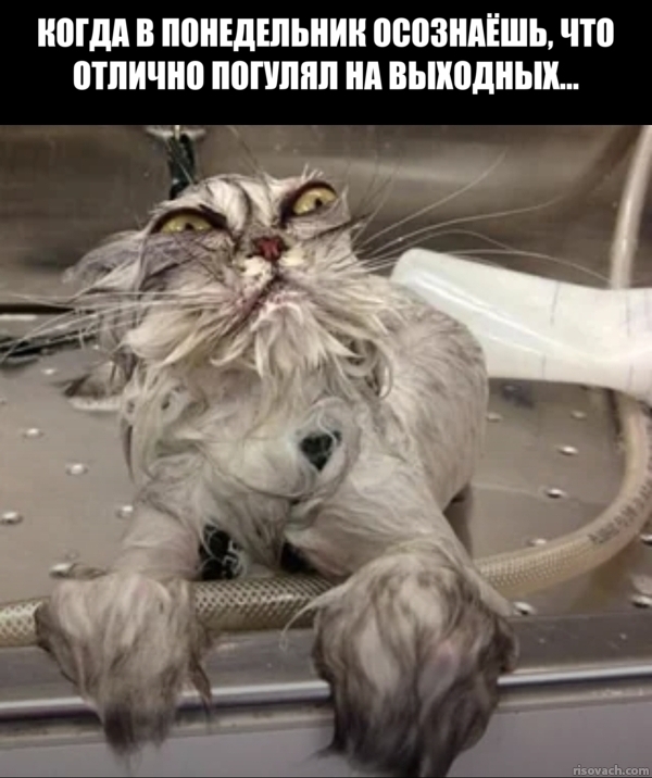 ������