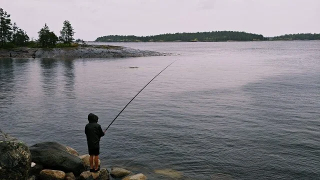 Journey through Karelia. Chapter 1: Ladoga Skerries. Part 4 - My, Skerries, Карелия, Ladoga, Lake, Alloy, Australian shepherd, Kayak, Rain, Beach, The rocks, Hike, Weather, Longpost