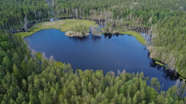 Journey through Karelia. Chapter 1: Ladoga Skerries. Part 4 - My, Skerries, Карелия, Ladoga, Lake, Alloy, Australian shepherd, Kayak, Rain, Beach, The rocks, Hike, Weather, Longpost