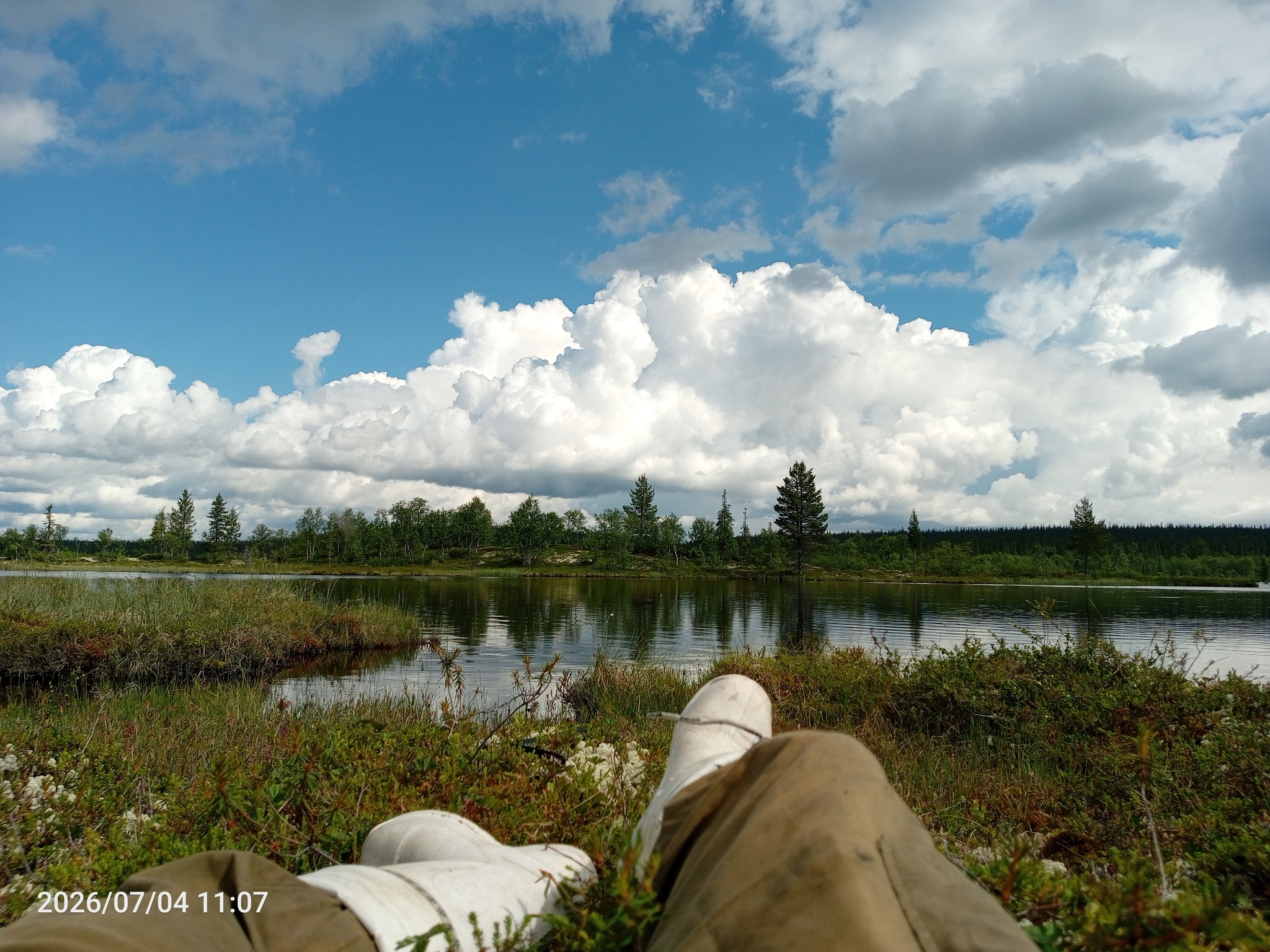 SayLon's answer to Show me the last photo you took just because you thought it was pretty. - The photo, Mobile photography, A wave of posts, Murmansk region, Lake, Fishing, Forest, Reply to post