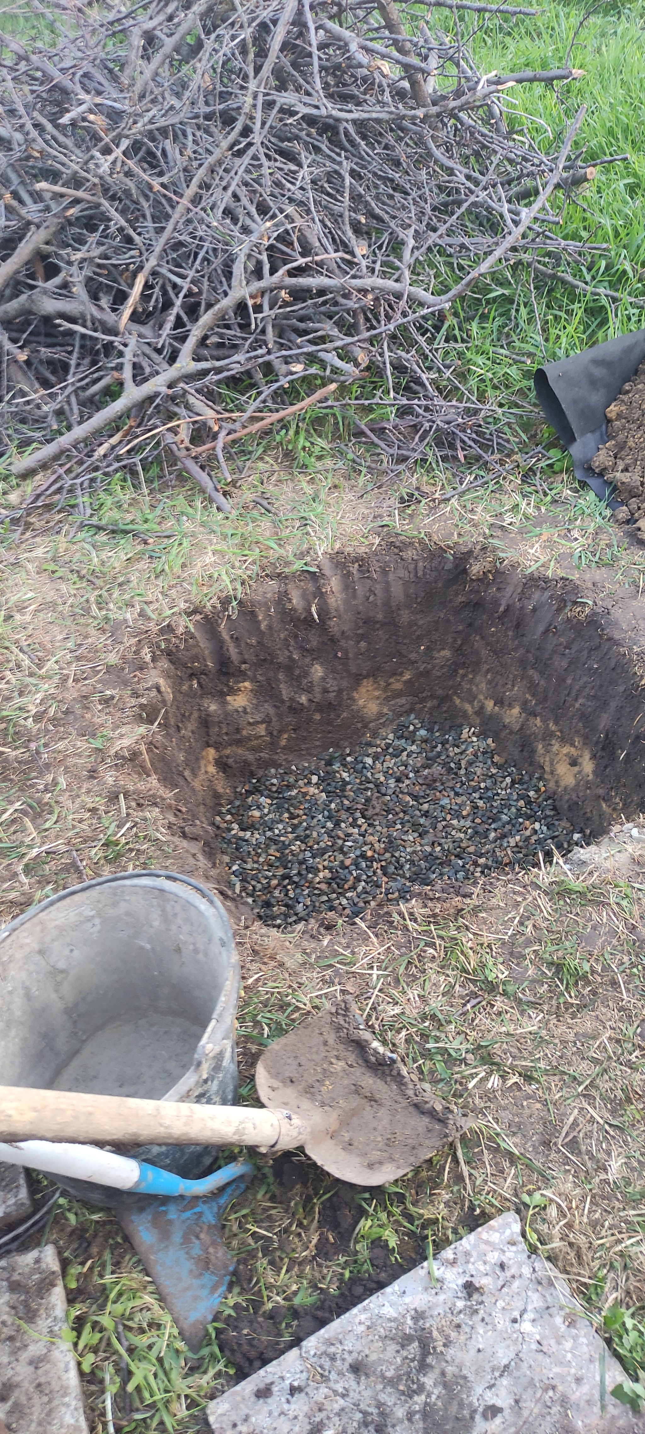 Continuation of the post Planted a Grape - My, Vineyard, Grape, Gardener, Gardening, Plants, Garden, Personal experience, Saplings, Minerals, Fertilizers, Reply to post, Longpost