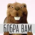 user10033710