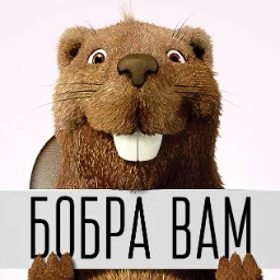 user10033710