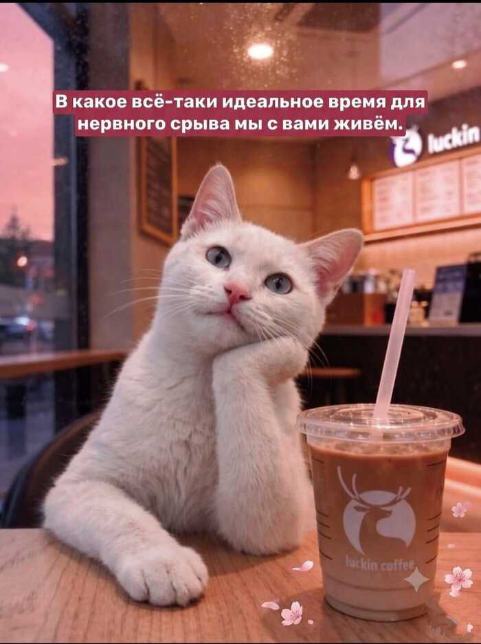 Ответ на пост «Так и есть»