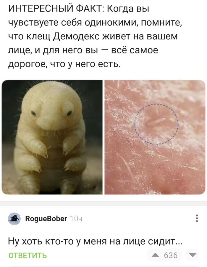 На лице