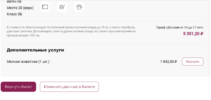 Первый билет