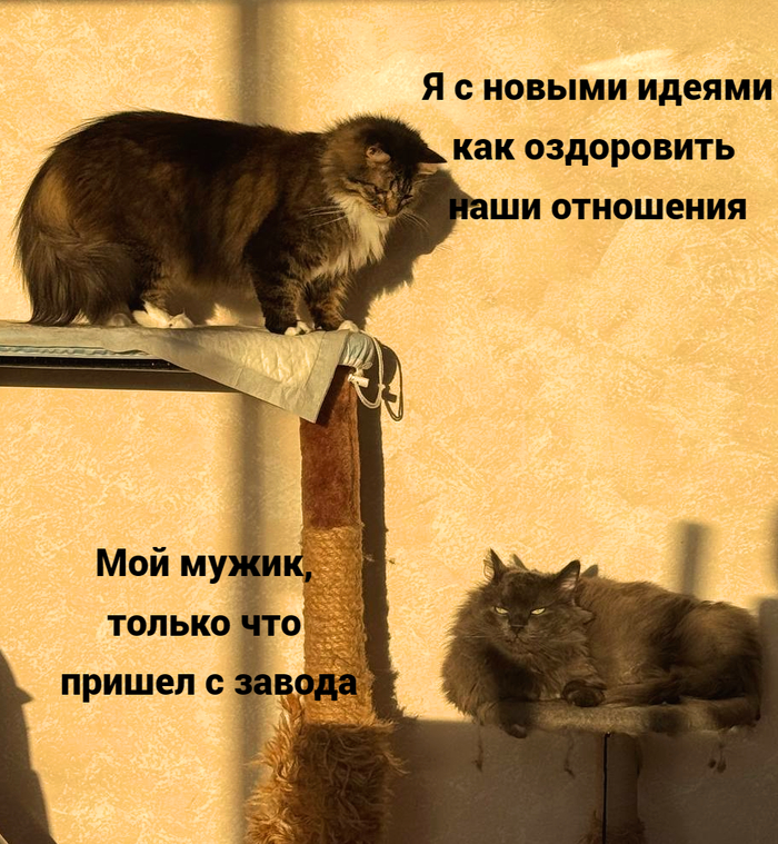 � - �������