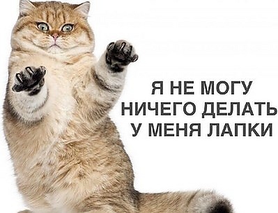 ����� Kontntn.Pl � �VK � MAX ������� �� AppStore � GooglePlay�