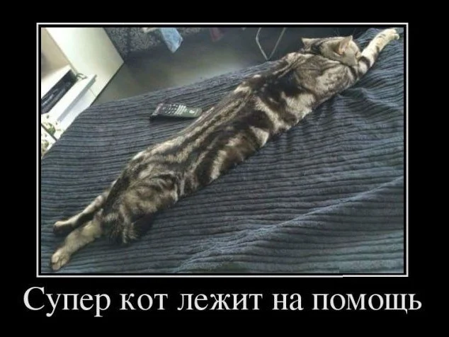wy3h36kd.webp