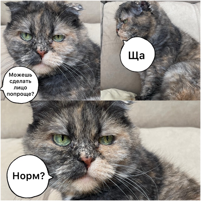 ��� �����?