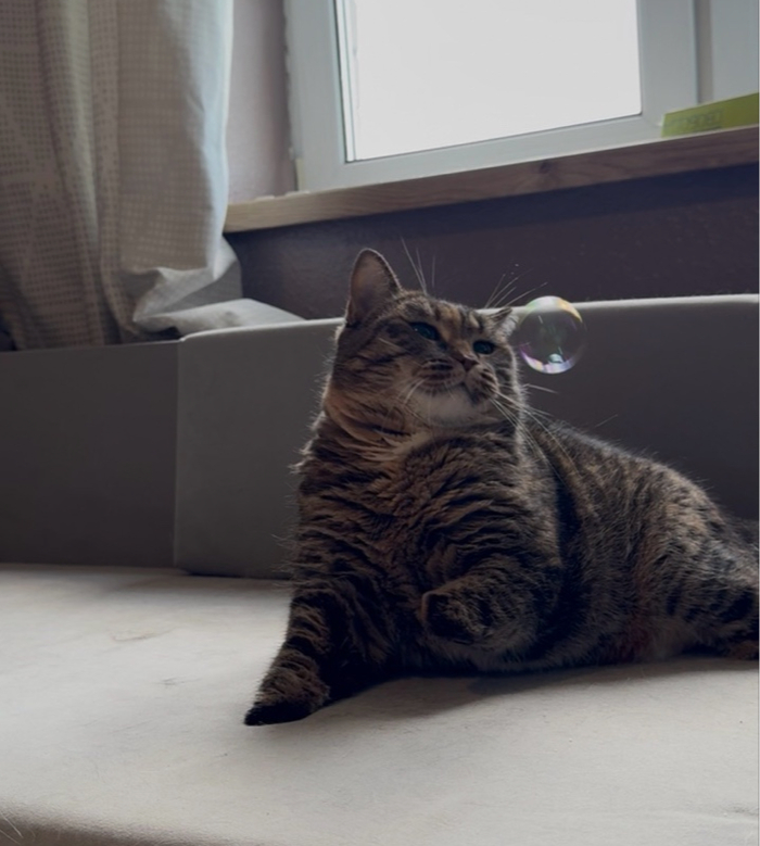 � �� ��� ����, � ���� �������