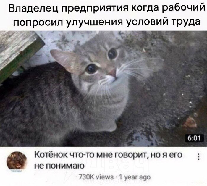 ������� ����� ��� �������� �����