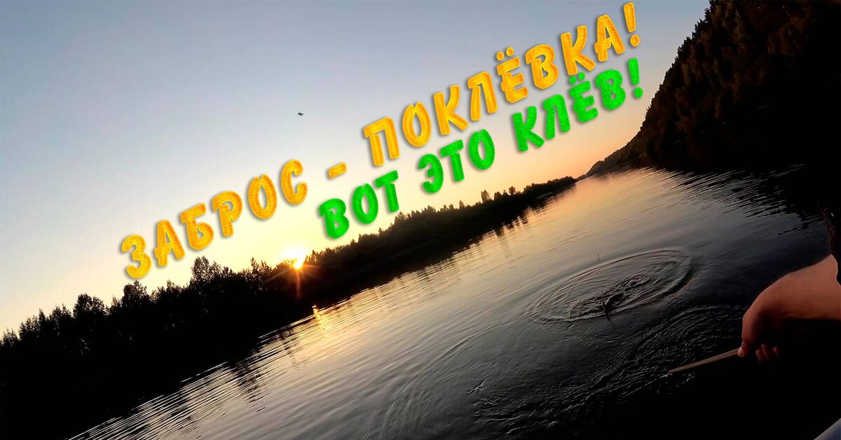 What a bite! A bite with every cast! - My, River, Fishing, Camping, A fish, Video, Rutube, Accordion