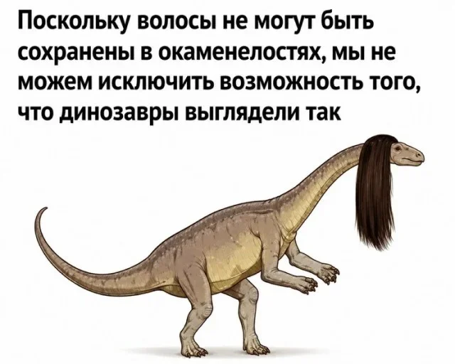 This is the funniest thing I could come up with...) - Series Memes
, Humor, Picture with text, Memes, Screenshot, Longpost