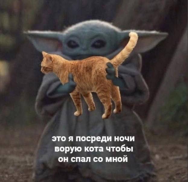 Котичек, так надо идём