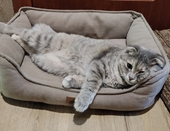 Сарочка отдыхает
