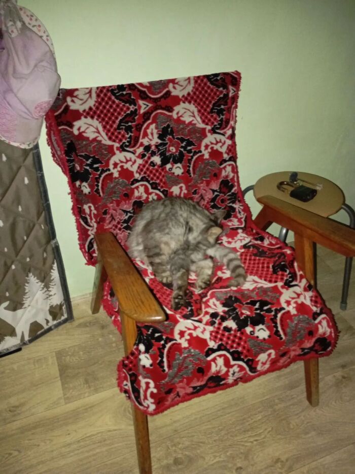 А жизнь то налаживается!