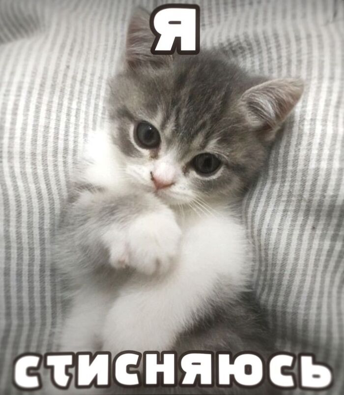 Милота