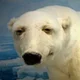 Аватар пользователя Voloday501