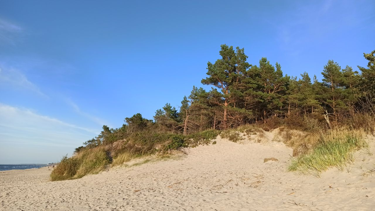 And about the weather in Kaliningrad - Series Kaliningrad and the region, My, Weather, Summer, Sea, The sun, Beach, Sand, Pine, Kaliningrad, Kaliningrad region, Baltic Sea, Cities of Russia, Travels, Dacha, sights, Longpost
