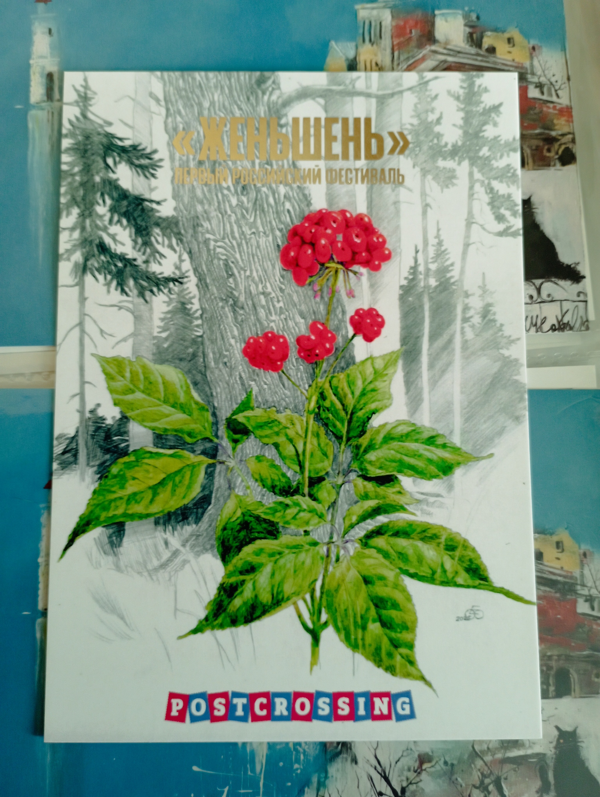 Collection of postcards Vladivostok/Primorye - My, Postcard, Postcrossing, Vladivostok, Primorsky Krai, Amur tiger, Дальний Восток