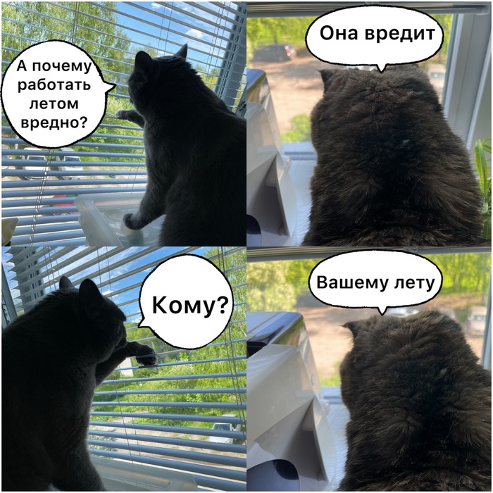 �������� ��������� � ������ ������