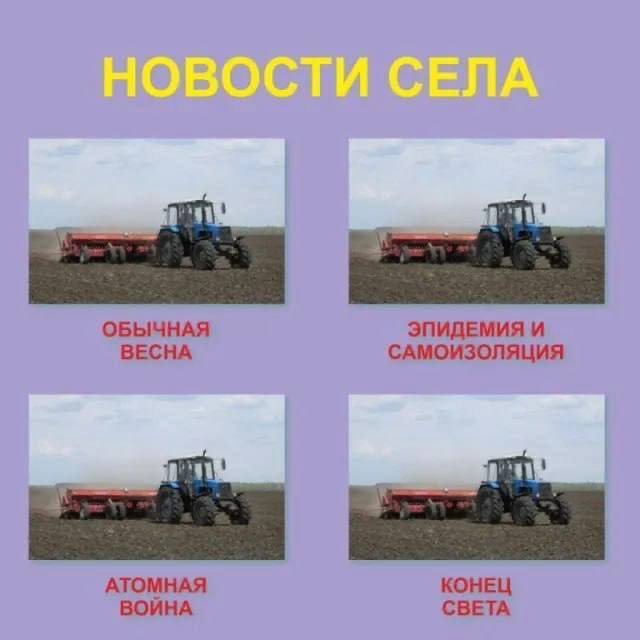 Ответ на пост «Лента новостей»