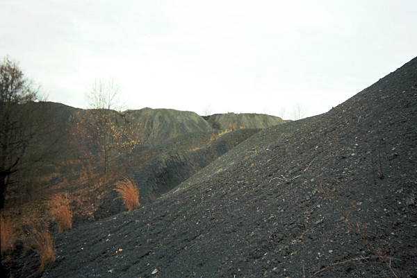 �� ���� �������� ��������� ������ �������� ������ ����� Banning � 3 �������� Pittsburgh Coal