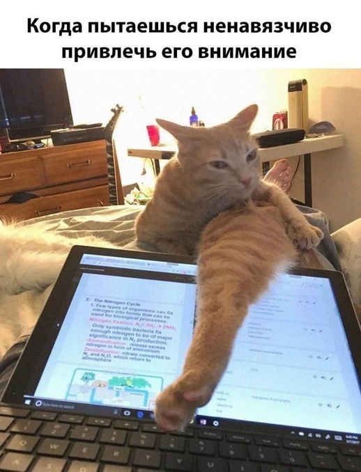 ����?
