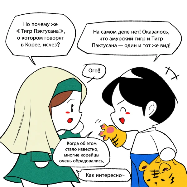 (comic) Russian tiger through the eyes of Koreans! - My, Humor, South Korea, Travels, Koreans, Author's comic, Creation, Корея, Bike, Life stories, Facts, The culture, Informative, Nostalgia, Tiger, Amur tiger, Comics, Diary, Art, k-Pop, Anime