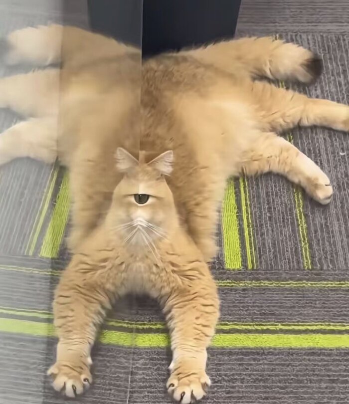 ���������� �������