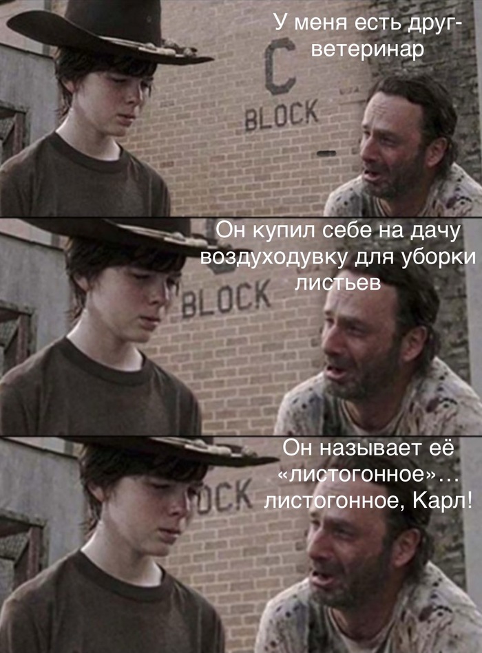��� ����� ������