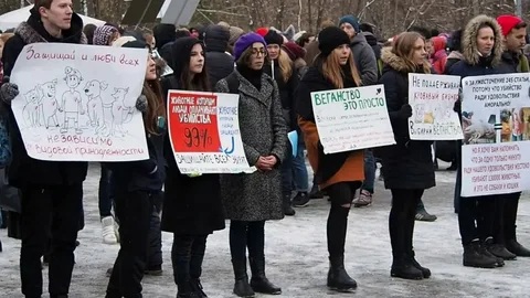 (обратите внимание на плакат с заголовком "ВЕГАНСТВО ЭТО ПРОСТО").