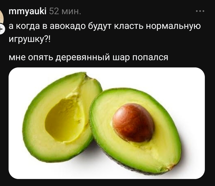 � ���� ���� ���� ������ ���� ����