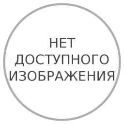 dariawriter