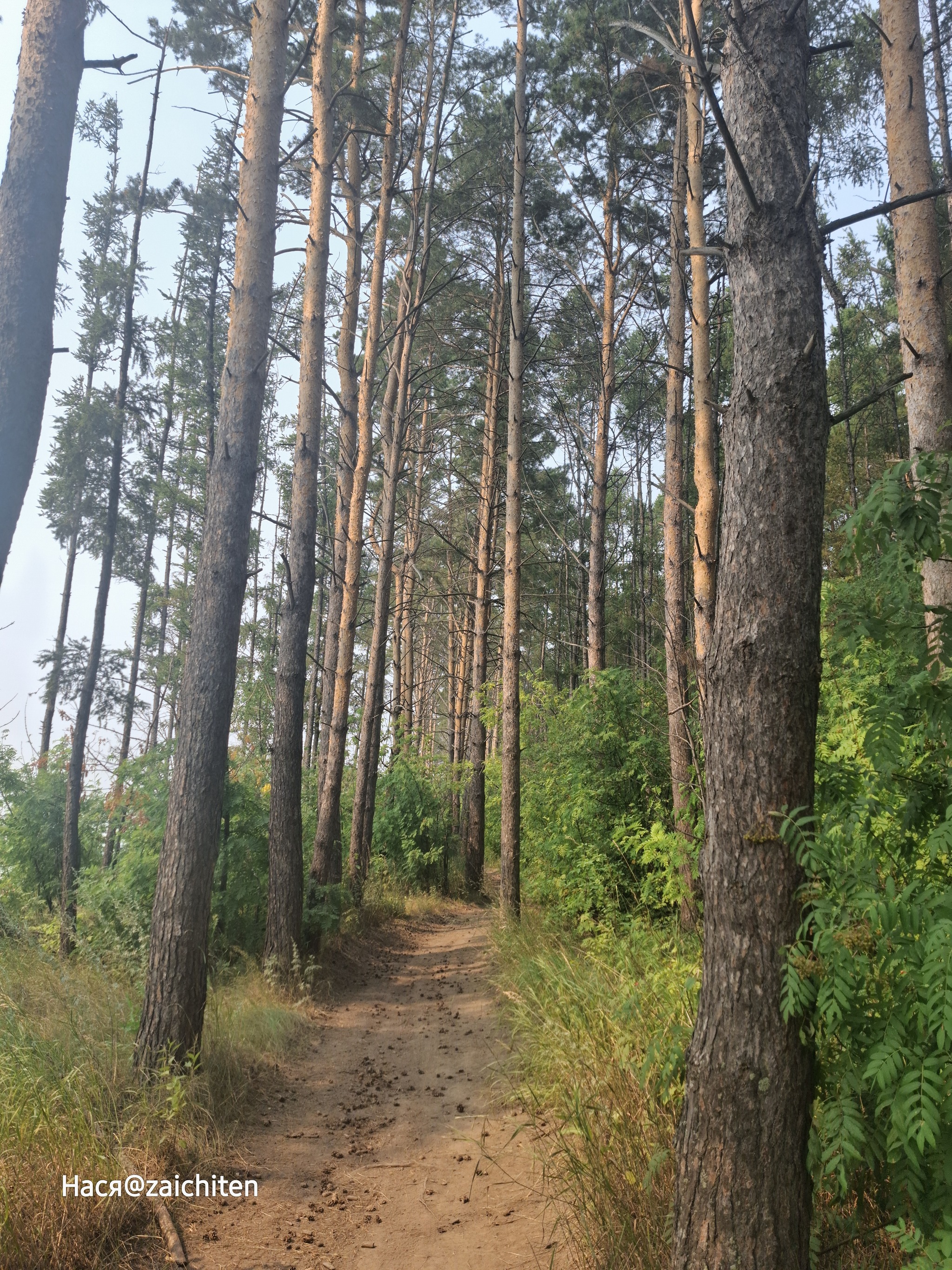 Cycling is addictive - My, Nature, Bike ride, Grace, Longpost